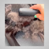Professional Pet Deshedding Brush – Safe & Effective for Dogs & Cats