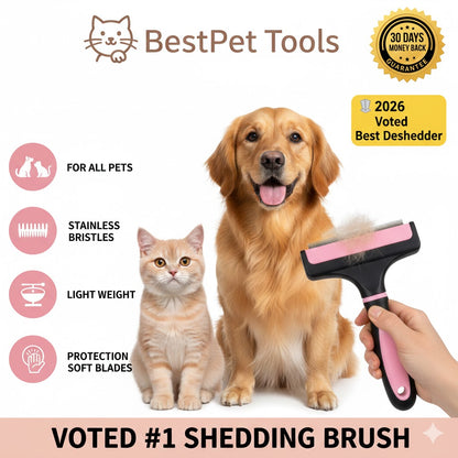 Stop Pet Hair From Taking Over Your Home